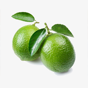 Sustainable Agriculture: Breadfruit, Peppers, and Lime Trees